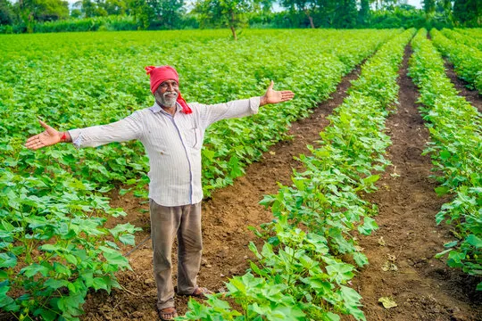 Farmer working in field